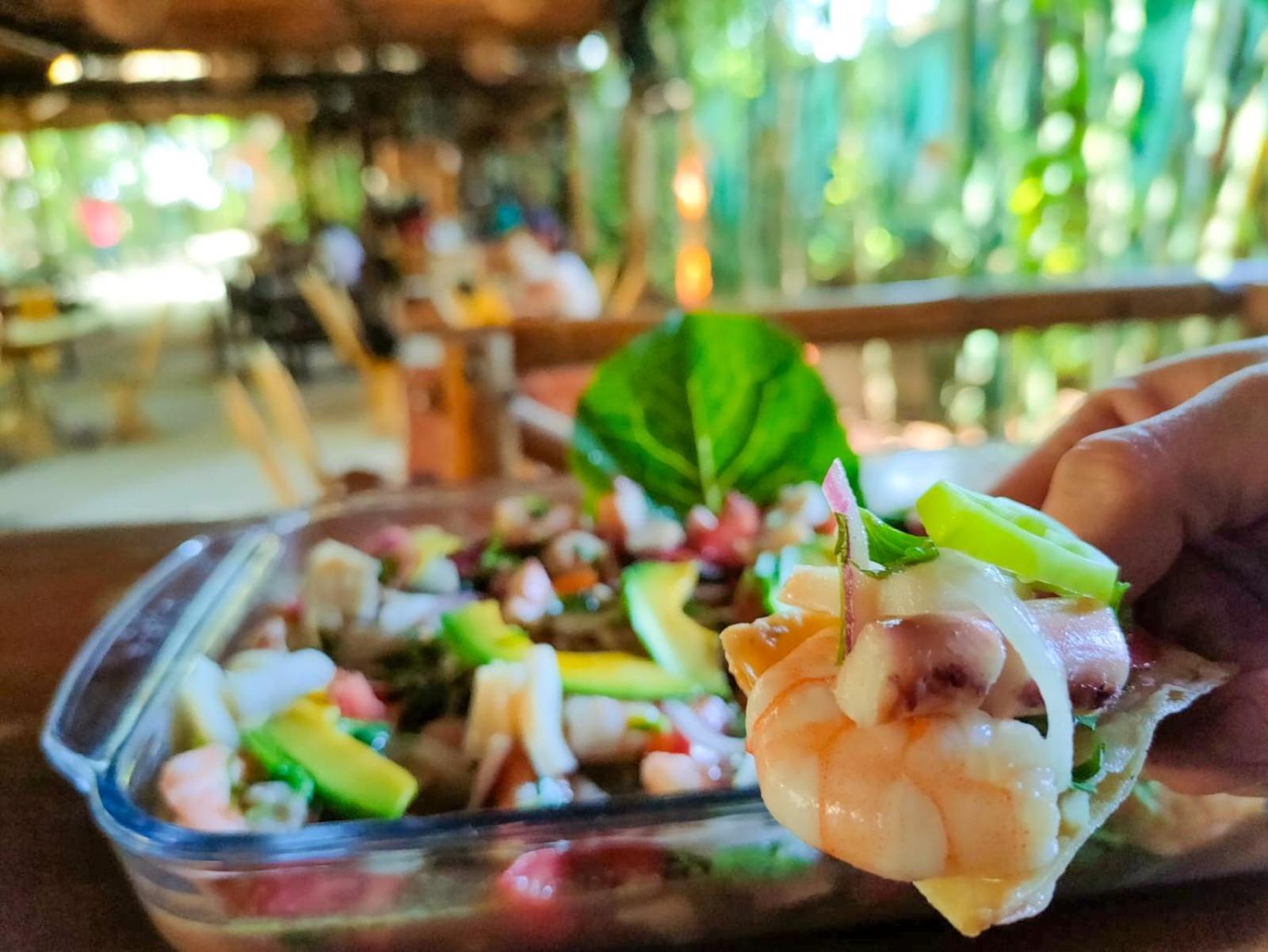 Hotel Bambus Felipe Carrillo Puerto المظهر الخارجي الصورة