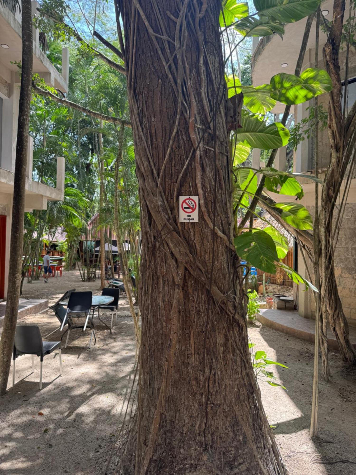 Hotel Bambus Felipe Carrillo Puerto المظهر الخارجي الصورة